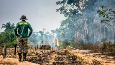 Doze deputados de MS e MT, estados do Pantanal, aprovam 'PL da Devastação'