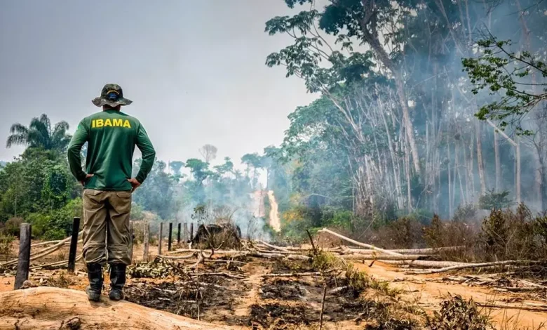 Doze deputados de MS e MT, estados do Pantanal, aprovam 'PL da Devastação'