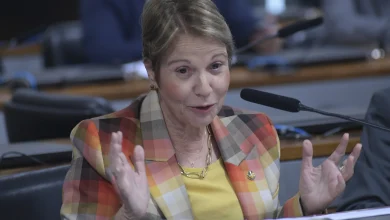 Tereza Cristina recorre às 'fake news' tentando mascarar armação lesa-Pátria