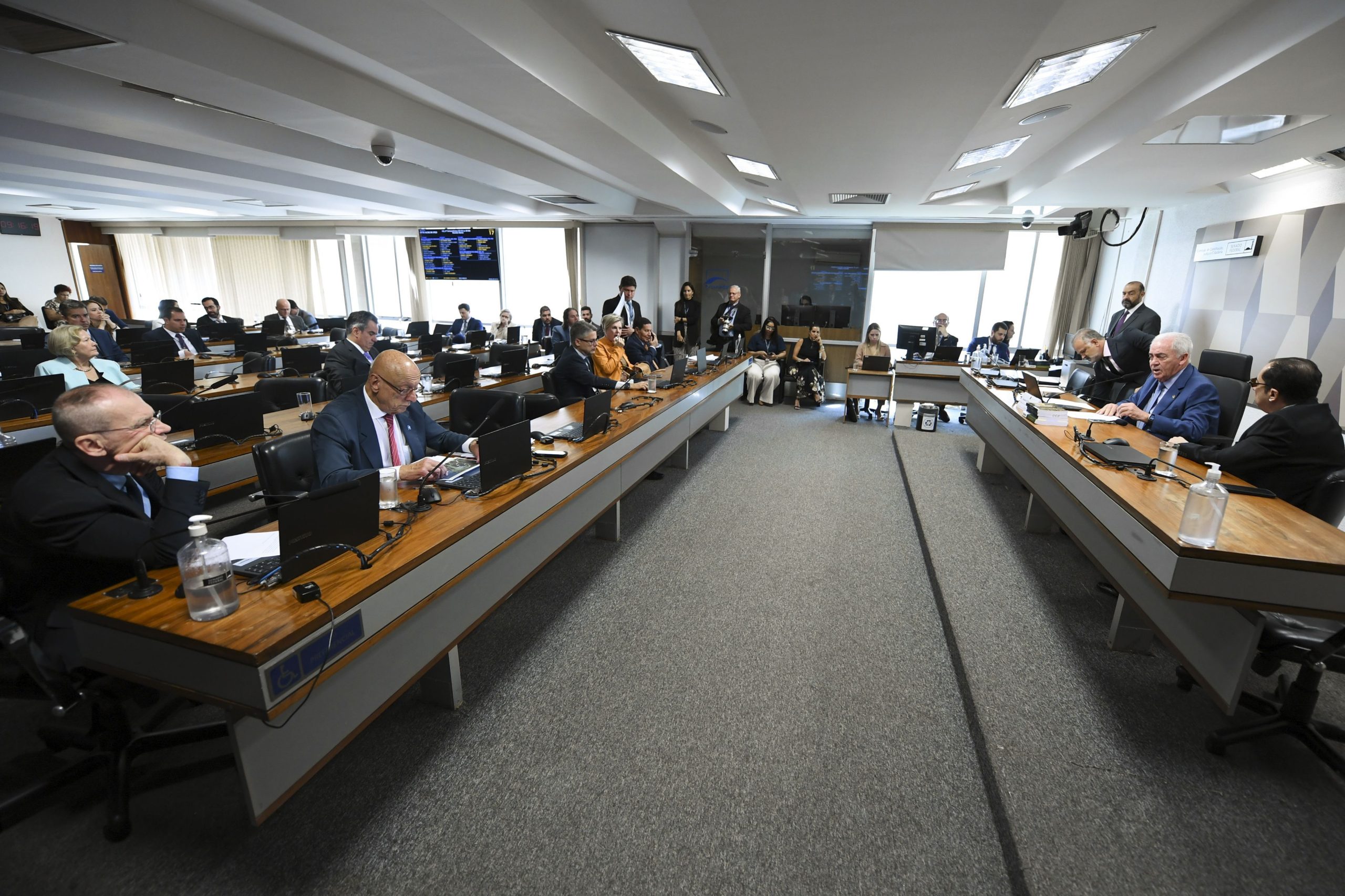 Cavalo mutilado: animal caiu por exaustão após ser forçado a cavalgar 15 km