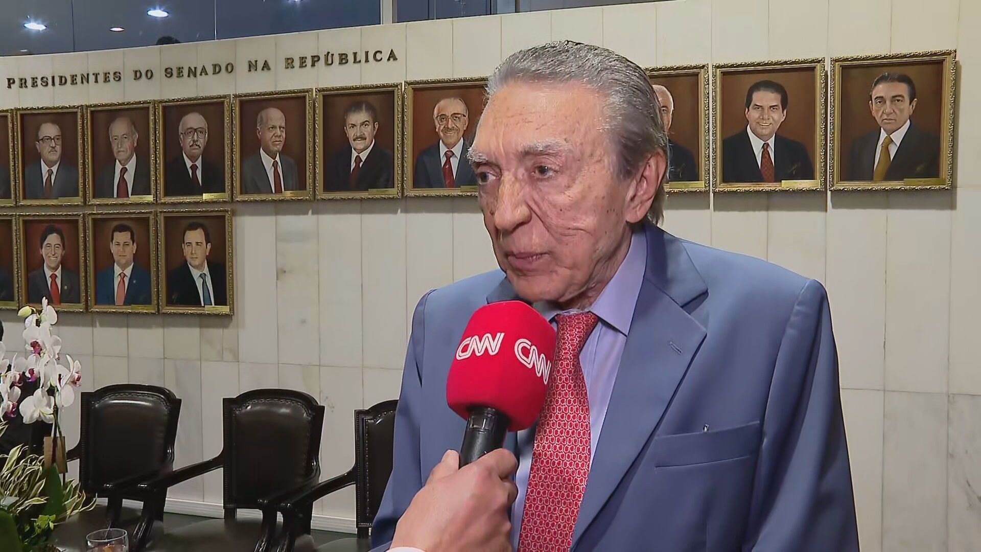 Cavalo mutilado: animal caiu por exaustão após ser forçado a cavalgar 15 km