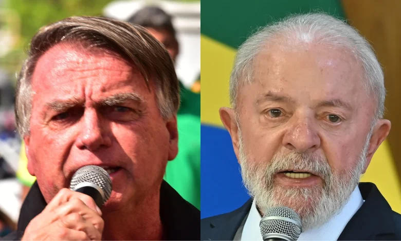 Cavalo mutilado: animal caiu por exaustão após ser forçado a cavalgar 15 km