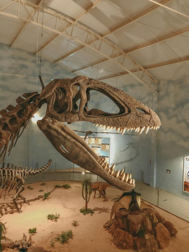 Cientistas usam dente de dinossauro para reconstituir ar pré-histórico – Web Stories CNN Brasil