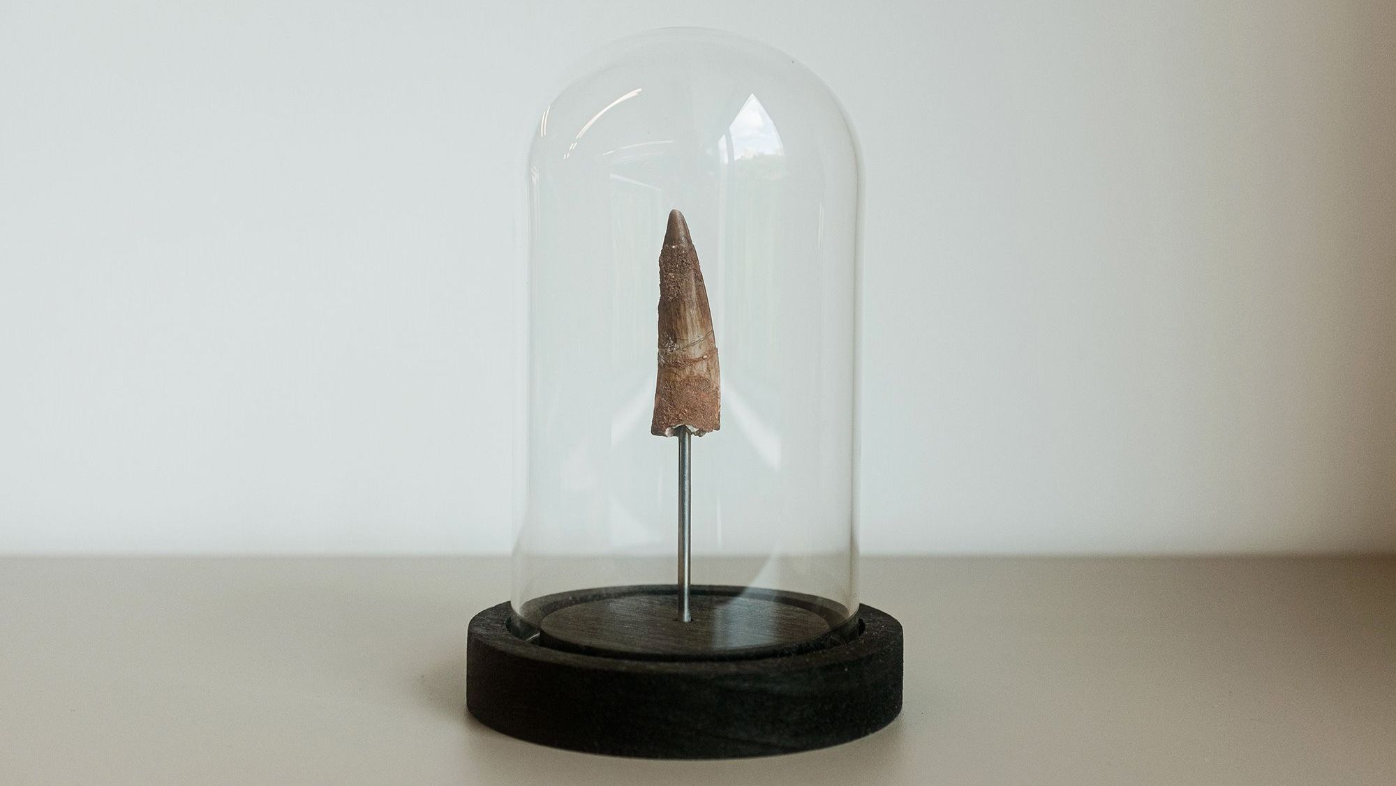 "Quilos Mortais": como está J.T., que pesava 404 kg e tinha linfedema grave