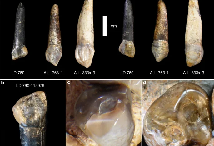 Influenciador Hytalo Santos e marido são presos em São Paulo