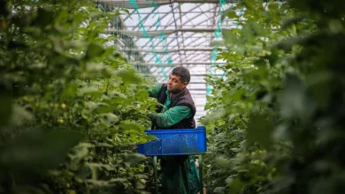 Pulverizador atomizador: como essa tecnologia melhora a produtividade agrícola
