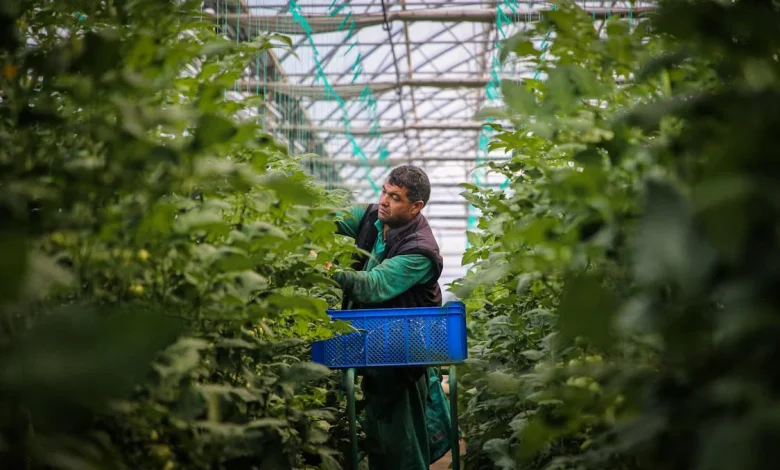 Pulverizador atomizador: como essa tecnologia melhora a produtividade agrícola