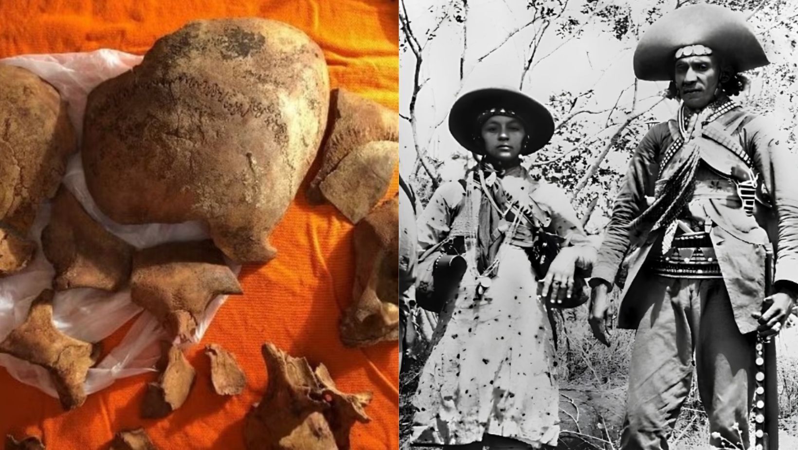 Cavalo mutilado: animal caiu por exaustão após ser forçado a cavalgar 15 km