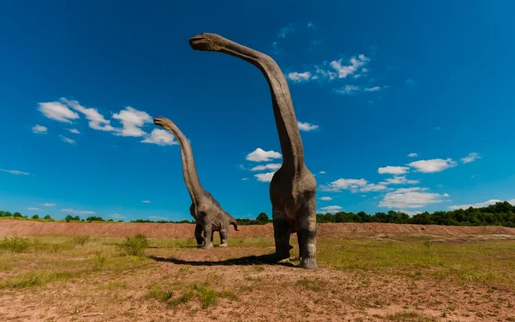 Vídeo: Mulher é presa nua em praia de SP após confessar ter matado o pai