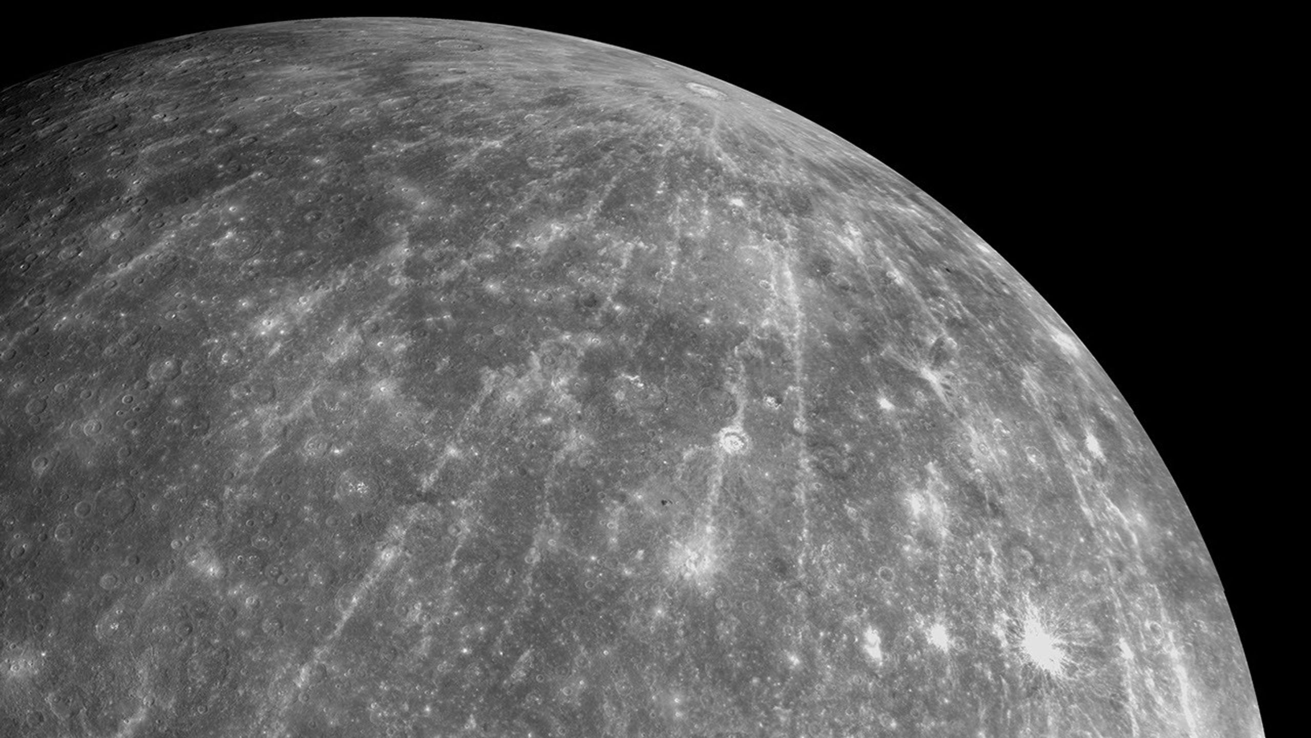 Cavalo mutilado: animal caiu por exaustão após ser forçado a cavalgar 15 km