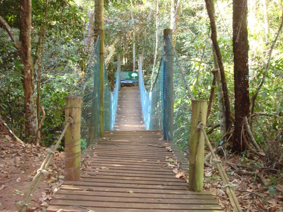 MP quer embargo imediato de obras irregulares no Parque do Prosa