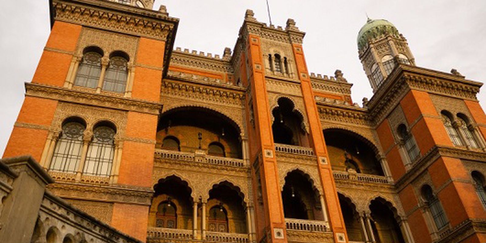 Fiocruz inicia testes para tratamento da Atrofia Muscular Espinhal