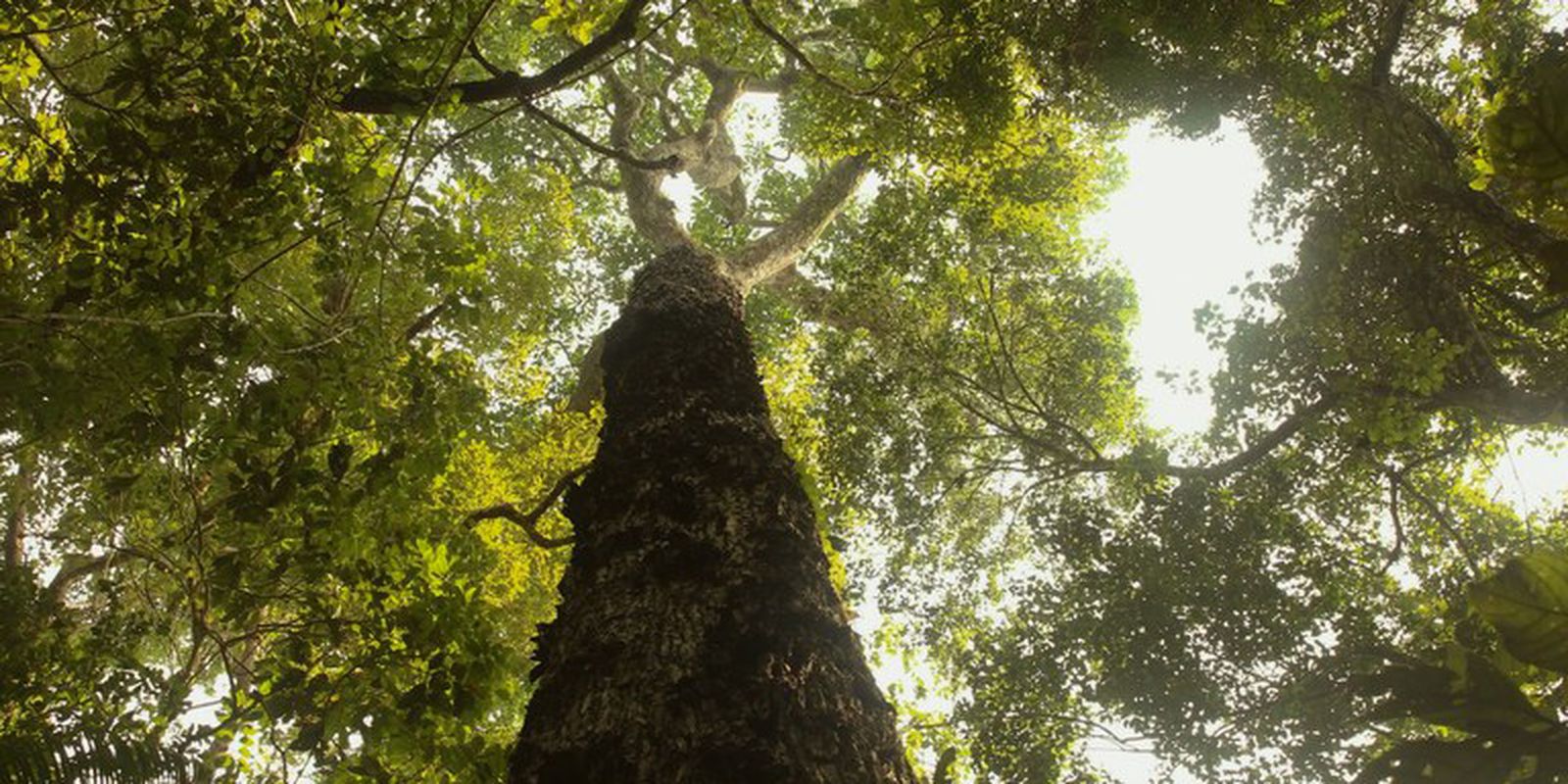TV Brasil estreia nova temporada de "Parques do Brasil" neste domingo