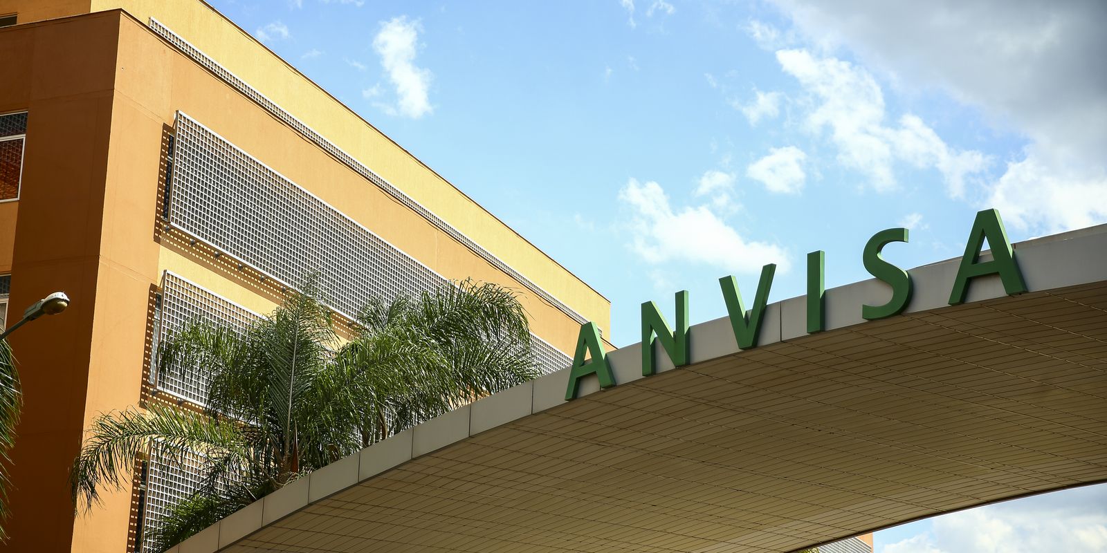 Anvisa proíbe produtos à base de alulose, um tipo de adoçante; entenda