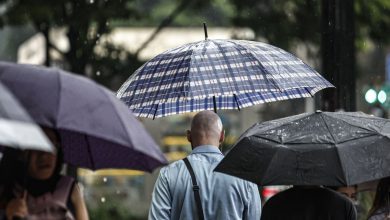 Defesa Civil alerta para chuva intensa nos primeiros dias do ano em SP