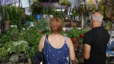 Tradição e fé impulsionam busca por banhos e ervas no fim de ano