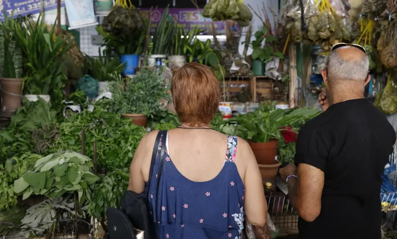 Tradição e fé impulsionam busca por banhos e ervas no fim de ano