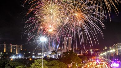 Fogos de artifícios com estampido são risco para animais e pessoas