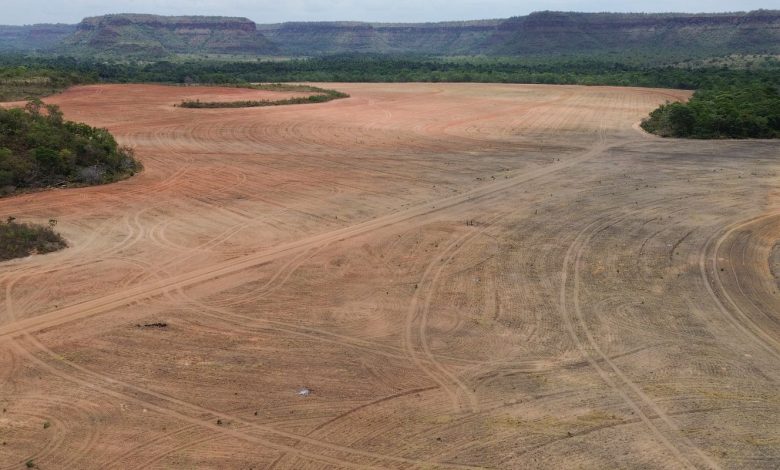Processadoras de soja deixam acordo sobre desmatamento na Amazônia