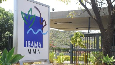 Ibama nega licença prévia para construção de termelétrica em Caçapava