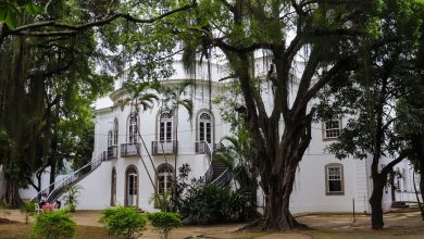 Museus da Funarj aderem a rede antirracista do Instituto Pretos Novos