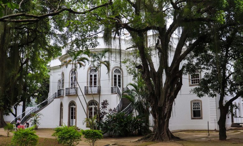 Museus da Funarj aderem a rede antirracista do Instituto Pretos Novos