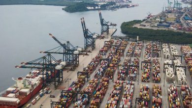 Porto de Santos registrou em 2025 maior movimentação de sua história