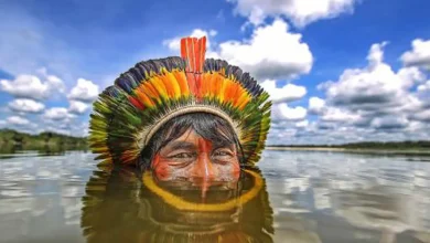 Tecnologia não pode substituir sensibilidade humana, dizem fotógrafos 