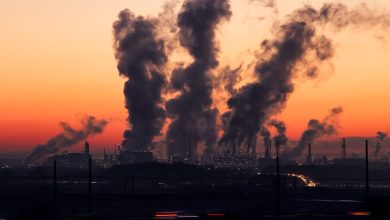 Sair da Convenção do Clima "é gol contra" dos EUA, diz Stiell