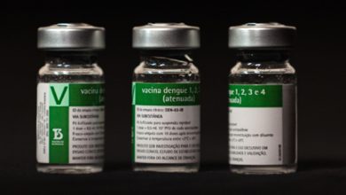 Aplicação da vacina da dengue do Butantan começará a partir do dia 17
