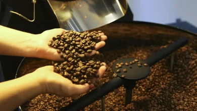 Exportação de café do Brasil cai em 2025, mas bate recorde em receita