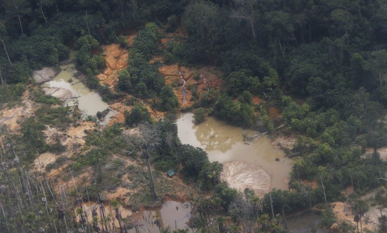 Edital prorroga inscrições para restauração em terras indígenas