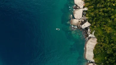 TV Brasil exibe documentário com iniciativas de preservação da costa
