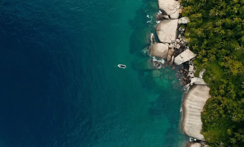 TV Brasil exibe documentário com iniciativas de preservação da costa