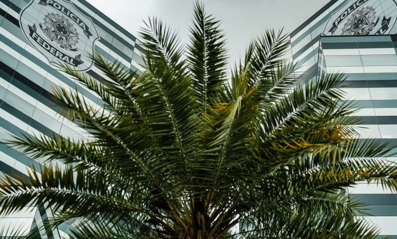 PF adia depoimentos de três investigados no inquérito do Banco Master