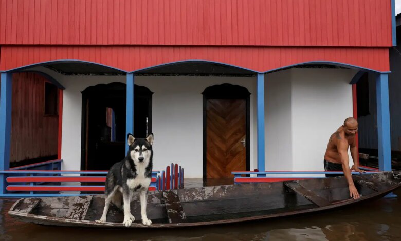 Cheia de rios amazônicos deixa 35 cidades em alerta e emergência