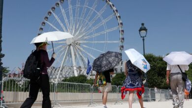 Europa: temperatura alta pode elevar transmissão do vírus Chikungunya