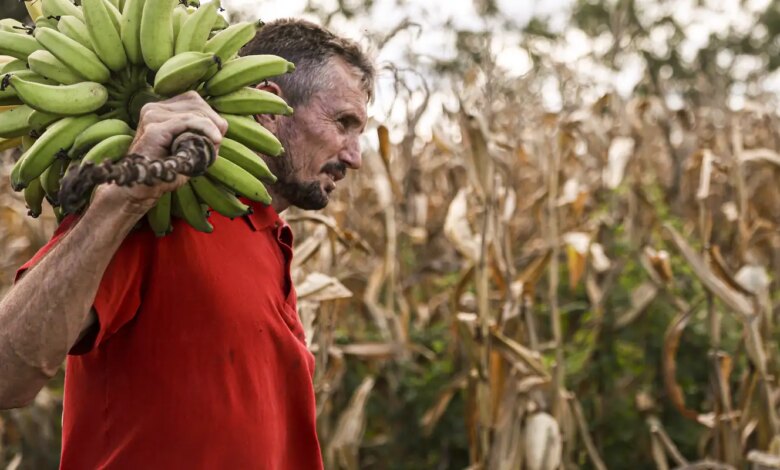 Câmara aprova uso de recursos do FGO em operações do Pronaf