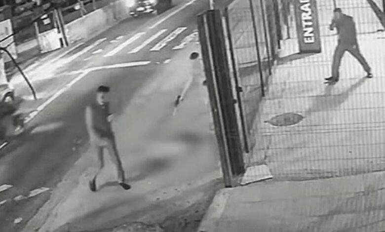 Soldado da PM depõe por ter matado cachorro comunitário em São Paulo