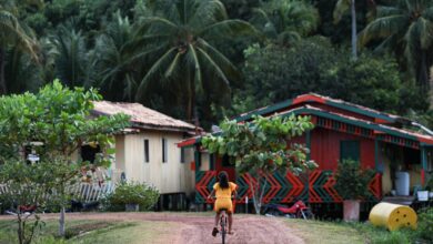Amazônia Legal concentra quase metade dos conflitos de terra no Brasil