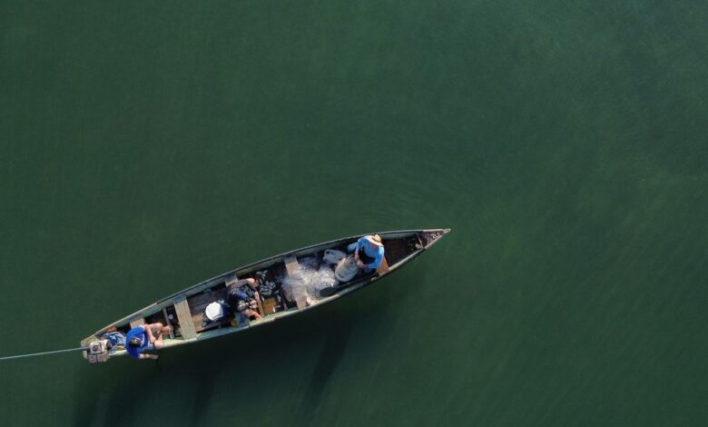 Ministério da Pesca cancela mais de 76 mil licenças de pescadores