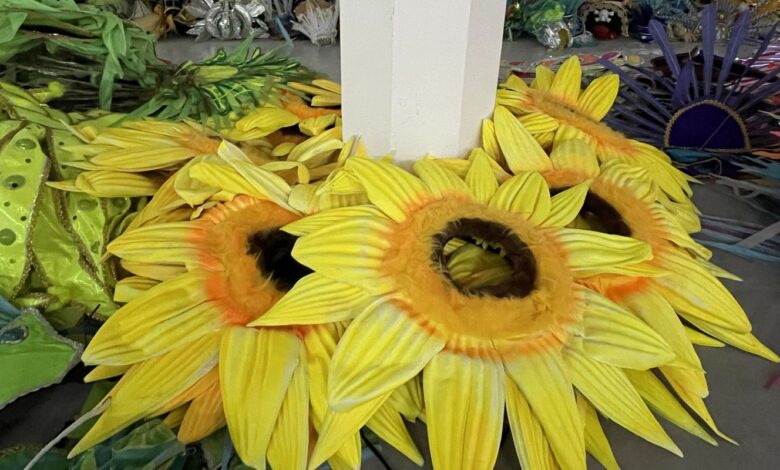 Projeto reaproveita fantasias da Sapucaí para novos foliões