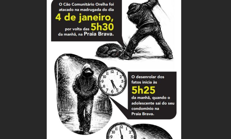 Cão Orelha: Polícia usa imagens e dados de celular para desvendar caso