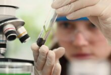 Observatório lança edital do programa Meninas Cientistas do ON