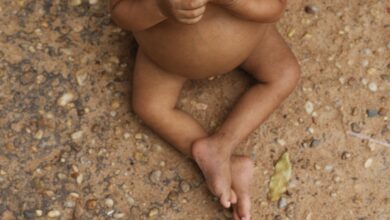 Vulnerabilidade reduz altura média de crianças indígenas e nordestinas