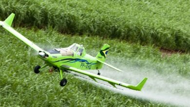 Agrotóxicos estão mais nocivos em todo o mundo, aponta estudo