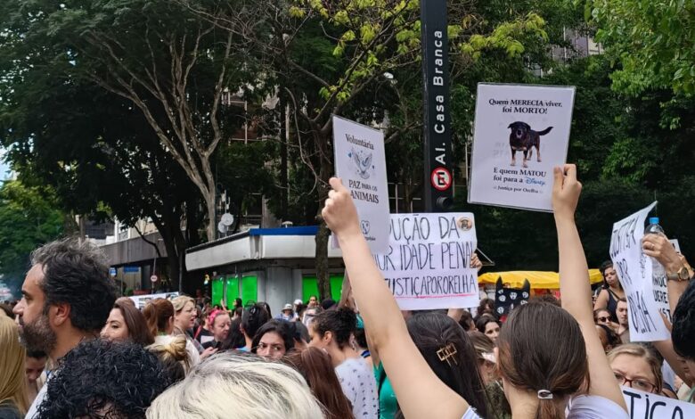 Centenas de pessoas em São Paulo pedem justiça pelo cão Orelha