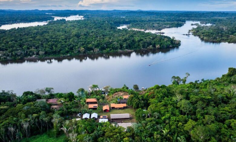 Fundo Amazônia aplica R$ 80 milhões para produção agrícola comunitária