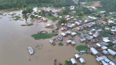 Univaja e DPU denunciam tortura de indígena no Vale do Javari