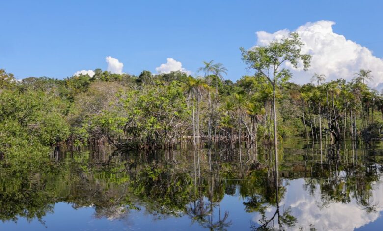 Tesouro muda regras de leilão para projetos sustentáveis